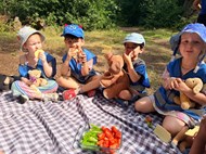 Teddies Bear Picnic - Snack