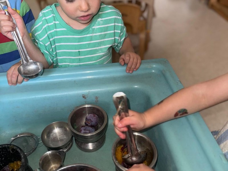 Exploring Plums with Pestle and Mortars