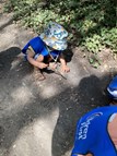 Forest Walk and Stone Painting