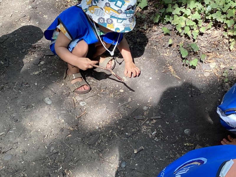 Forest Walk and Stone Painting