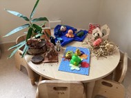 Animals around the World