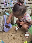 The Stars' Gardening Adventure!