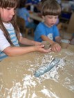 Fine Motor Skills Focus