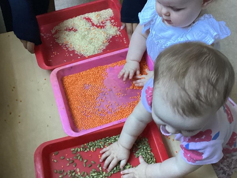 Sprinkle Sprinkle