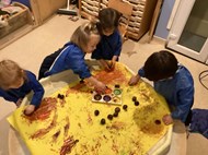 Conker Rolling (2)
