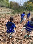 Autumn Walk (2)