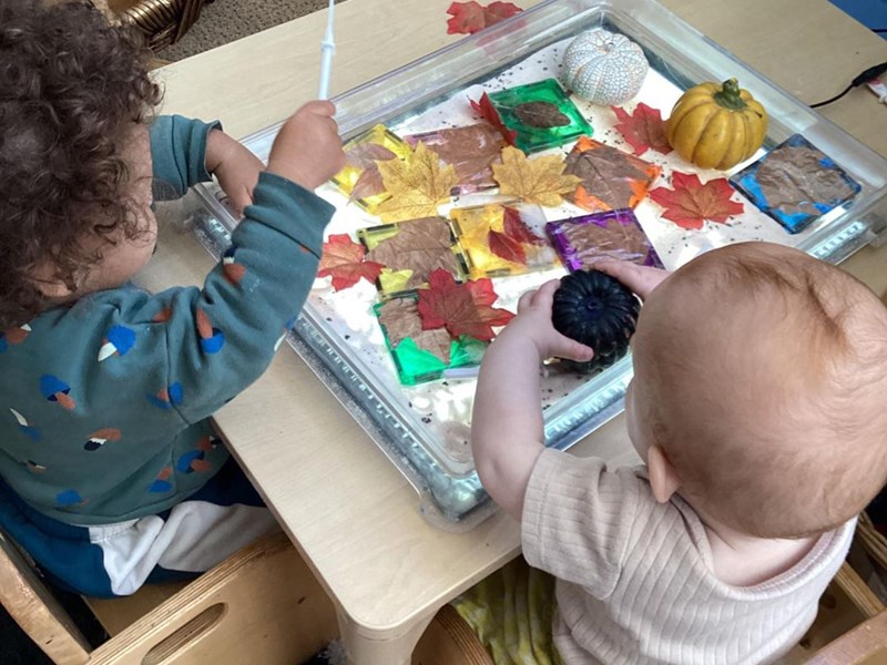 Autumnal sensory experience