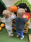 Pumpkin Patch