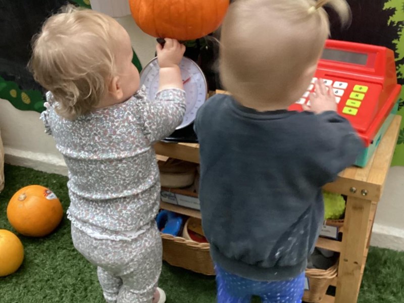 Pumpkin Patch
