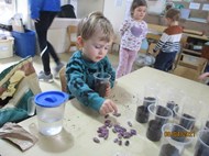 Magic Bean Planting