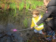 Swamp Dipping