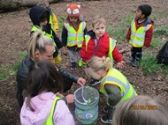 Butterfly Release Ceremony