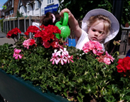 Watering our community plants