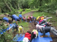 Forest Yoga