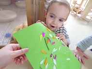 Flower Collages