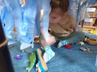 Under The Sea