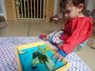 Vegetable Sensory Tray