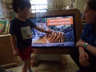 International Tiger Day