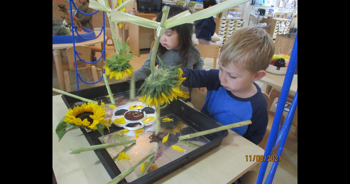 Sunflower Mirror Painting