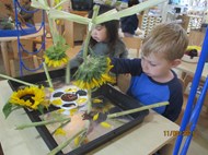 Sunflower Mirror Painting