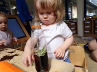 Habitat Sensory Bottles