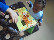 Animal sensory