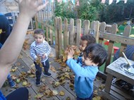 Autumn leaves