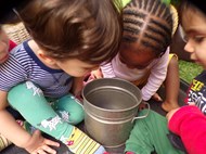 Exploring and Observing Mini beasts