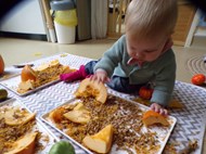 Pumpkin Exploration