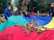 Parachute of Leaves