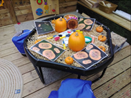 Halloween Extravaganza