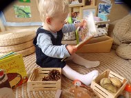 Autumn Fun