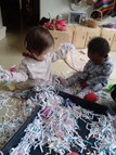 shredded Paper